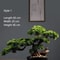 Simulation Welcome Pine Bonsai Professional FourSeasons Landscape Tree Executive Living Room Des 7