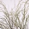 120cm Artificial Willow Deadwood Branch Realistic Simulation Tree Decor Executive Living Room San 2