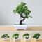 Artificial Potted Bonsai Plant Simulated Miniature Tree Executive Home Garden Sanctuary Decor 0