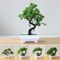 Artificial Potted Bonsai Plant Simulated Miniature Tree Executive Home Garden Sanctuary Decor 0
