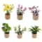 1 12 Miniature Potted Flower Dollhouse Green Plant Model Executive MicroLandscape Sanctuary Decor 3