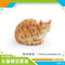 Lying Orange Cat Figurine Solid Simulation Mini Pet Model Executive Desktop Home Studio Sanctuar 18