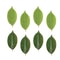 Simulated Magnolia Foliage Set 25pc Premium PU Artificial Leaves Executive Floral Studio Sanctua 0