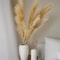 Botanical Faux Pampas Plume 120cm 47 UltraFluffy Stem Executive Floor Vase Studio Sanctuary Deco 3