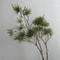 Verdant Alpine Pine Stem Luxury Realistic Evergreen Branch Executive Holiday Studio Sanctuary De 0
