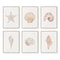 Watercolor Seashore Canvas Coastal Shell Starfish Print Executive Studio Beachfront Sanctuary D 9