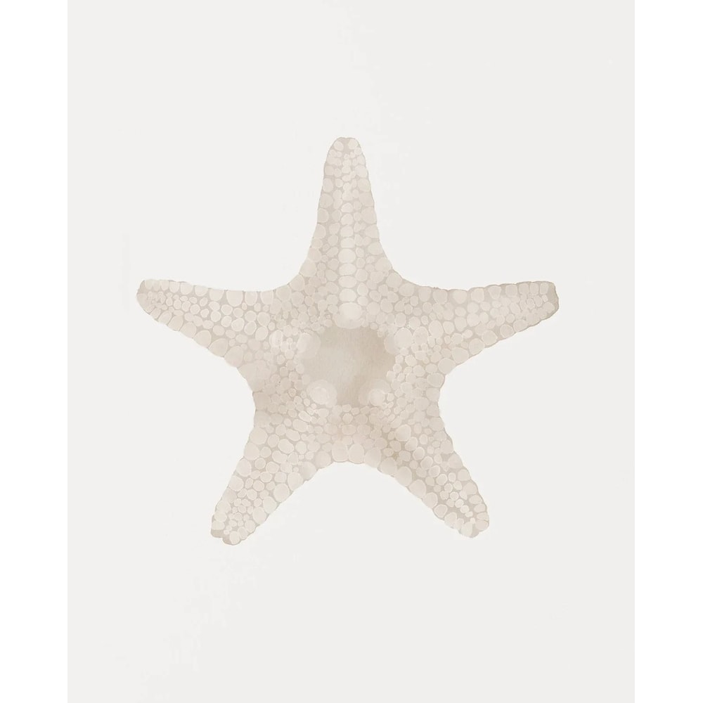Watercolor Seashore Canvas Coastal Shell Starfish Print Executive Studio Beachfront Sanctuary D 10