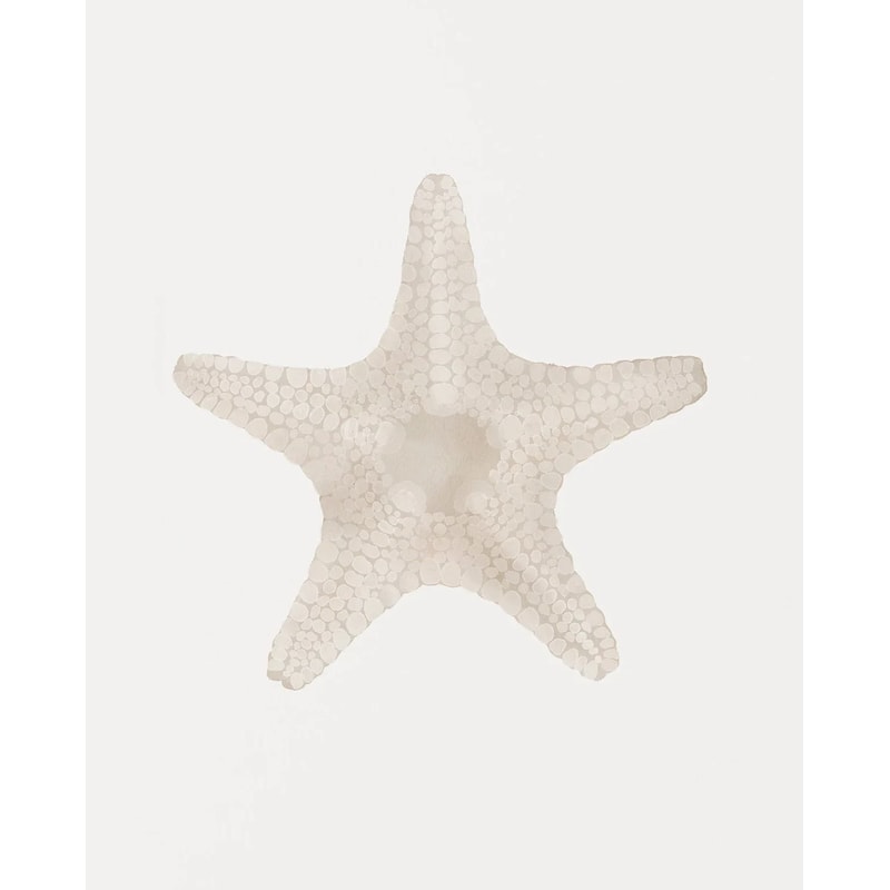 Watercolor Seashore Canvas Coastal Shell Starfish Print Executive Studio Beachfront Sanctuary D 10