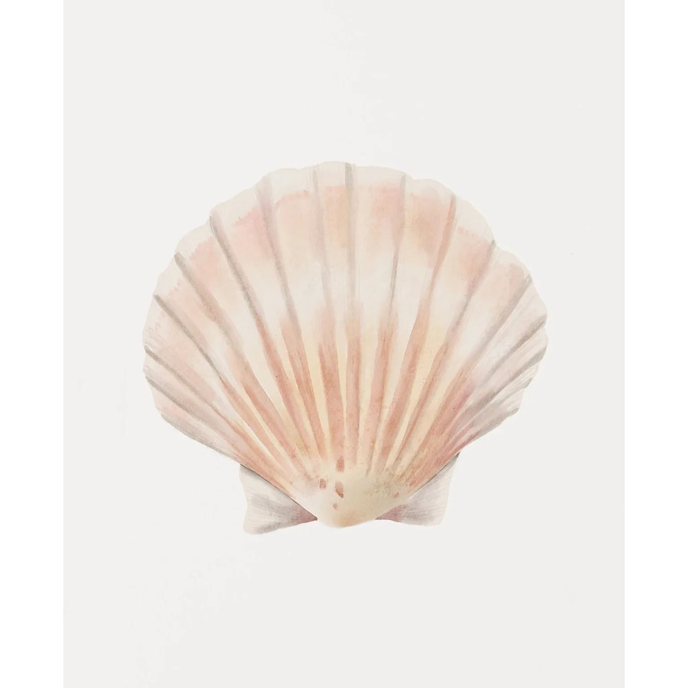 Watercolor Seashore Canvas Coastal Shell Starfish Print Executive Studio Beachfront Sanctuary D 11