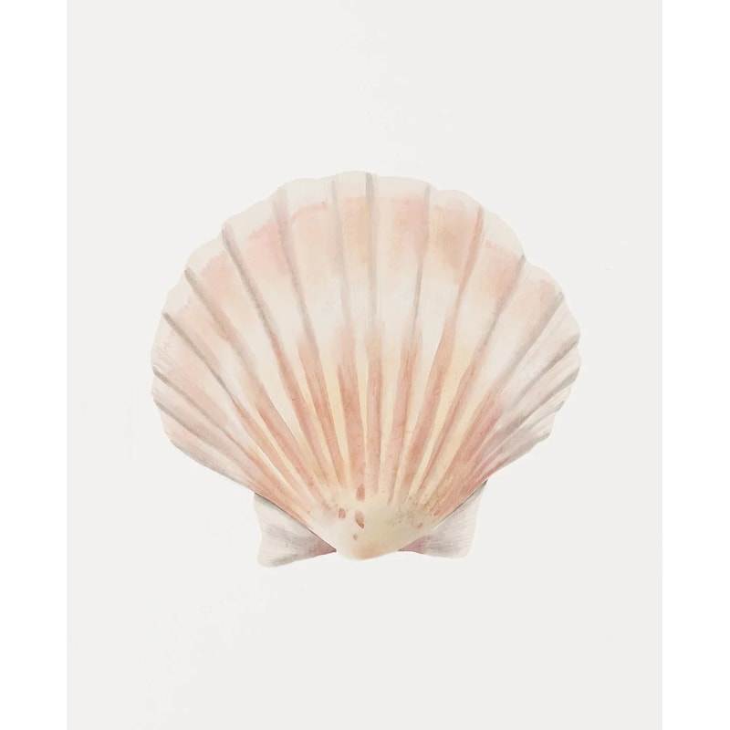 Watercolor Seashore Canvas Coastal Shell Starfish Print Executive Studio Beachfront Sanctuary D 11