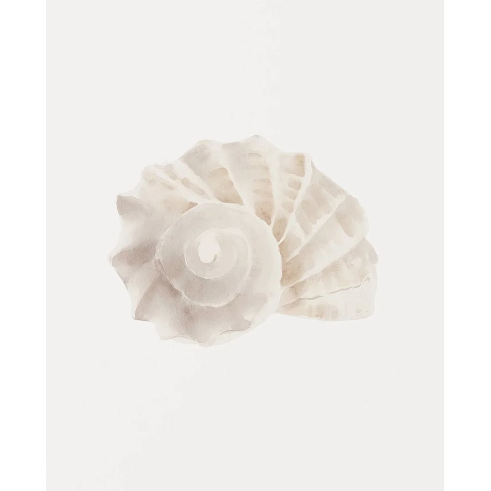 Watercolor Seashore Canvas Coastal Shell Starfish Print Executive Studio Beachfront Sanctuary D 12