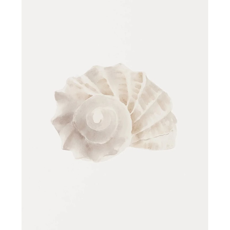 Watercolor Seashore Canvas Coastal Shell Starfish Print Executive Studio Beachfront Sanctuary D 12