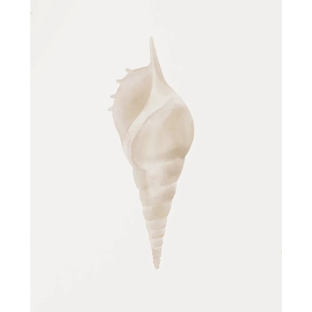 Watercolor Seashore Canvas Coastal Shell Starfish Print Executive Studio Beachfront Sanctuary D 7