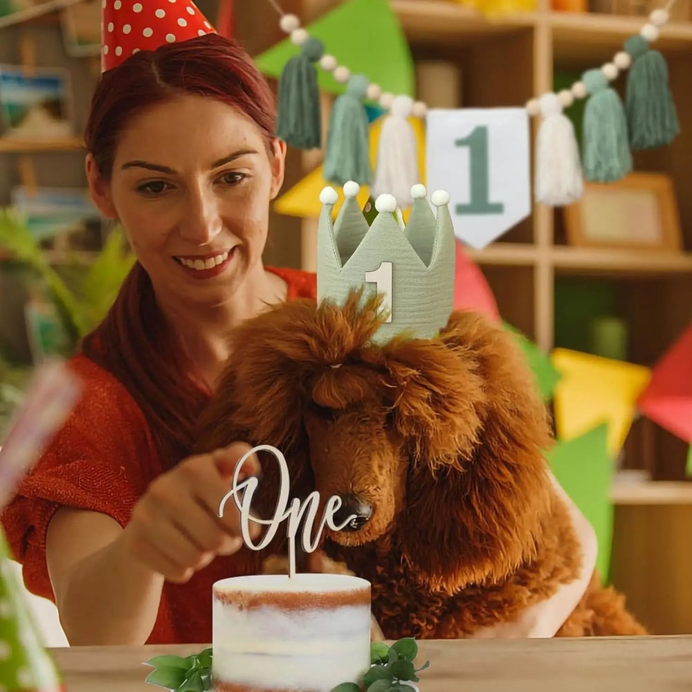 Boho 1st Birthday Botanical Banner Set Linen Tassel Garland Crown Executive Nursery Studio Deco 3