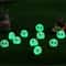 Boutique Luminous Dust Elves 10PCS GhibliInspired Glow Miniatures Executive Studio Zen Sanctuary 2