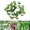 Botanical Ivy Cascade 24M Silk Hanging Vine Garland Executive Studio Living Room Sanctuary Decor 1
