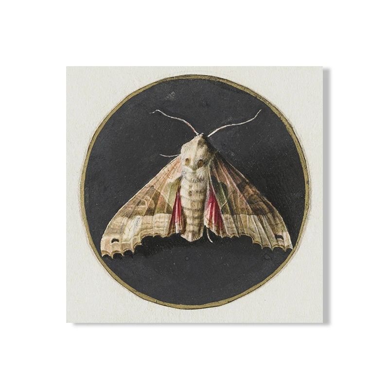 Moody Owl Butterfly Canvas Dark Academia Nature Art Executive Library Cottagecore Sanctuary Dec 9