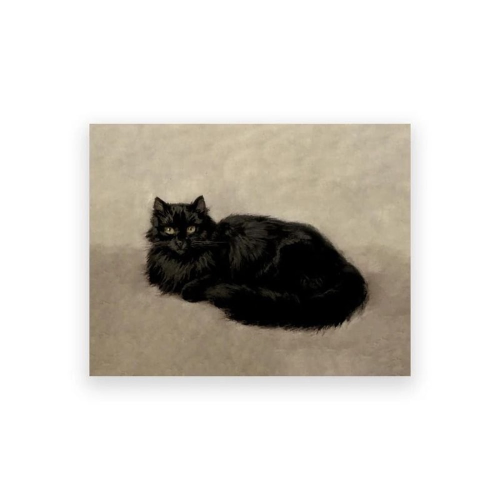 Moody Owl Butterfly Canvas Dark Academia Nature Art Executive Library Cottagecore Sanctuary Dec 6