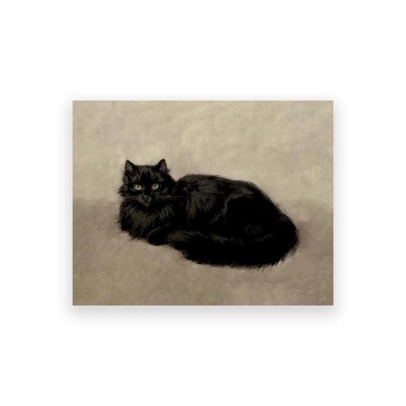 Moody Owl Butterfly Canvas Dark Academia Nature Art Executive Library Cottagecore Sanctuary Dec 6