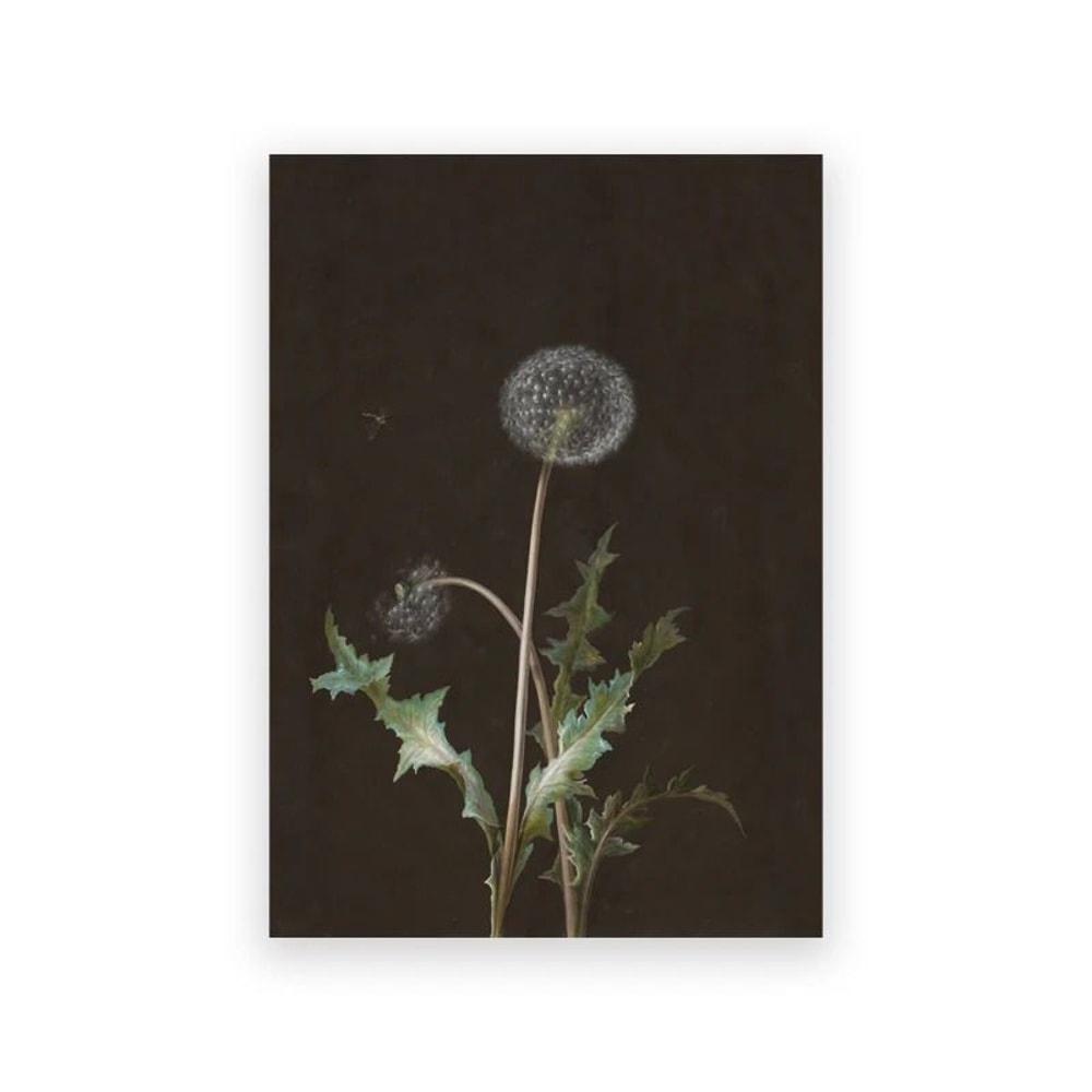 Moody Owl Butterfly Canvas Dark Academia Nature Art Executive Library Cottagecore Sanctuary Dec 16