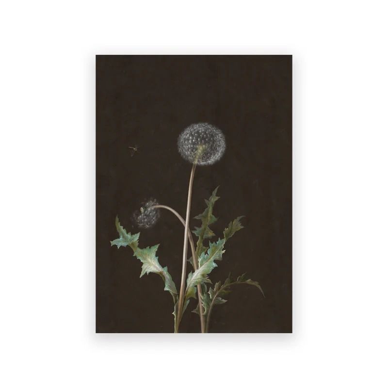 Moody Owl Butterfly Canvas Dark Academia Nature Art Executive Library Cottagecore Sanctuary Dec 16