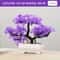 Botanical Zen Specimen Miniature Potted Bonsai Sculpture Executive Suite Office Sanctuary Decor 12