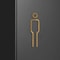 Architectural Brass Toilet Signage HighFidelity Male Female Door Labels With Professional Gold Fi 1