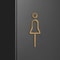 Architectural Brass Toilet Signage HighFidelity Male Female Door Labels With Professional Gold Fi 2