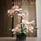 Botanical Orchid Bouquet Technical FloralArchitectural Logic 2