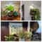 SolarFlux Telescopic Growth Interface Full Spectrum Indoor LED Fill Light Seasonal Botanical Supp 5