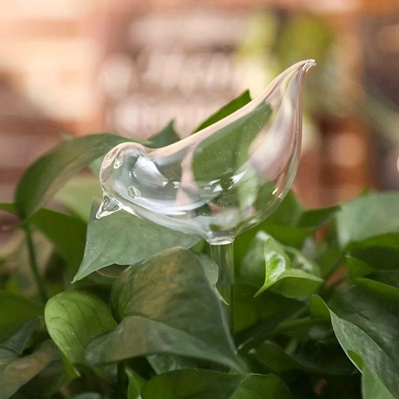 Automatic BirdShaped Water Dispenser For Indoor Plants And Botanical Hydration 4