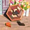 Wooden Geometric Shape Jigsaw And Cognitive Brain Teaser Interface 1