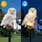 Photovoltaic Avian Luminary And Botanical Aesthetic Interface 1