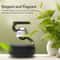 SolarPowered Kinetic Orbital Olfactory And Dashboard Interface 4