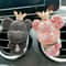 Crown Diamond Ursine Olfactory And Aesthetic Stabilization Interface 1