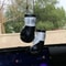 Festive Athletic Prizefighter Rearview And Mood Stabilization Interface 0