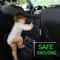 3Layer Universal Car Mesh Organizer And Backseat Safety Barrier 1