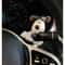 Adorable Puppy Steering Column Decorative Figurine 3