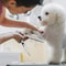 PrecisionGuard Ambidextrous Pet Grooming Master Set 2