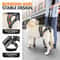 AeroStep Mobility Elite RearSupport System 3