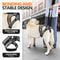 AeroStep Mobility Elite RearSupport System 3