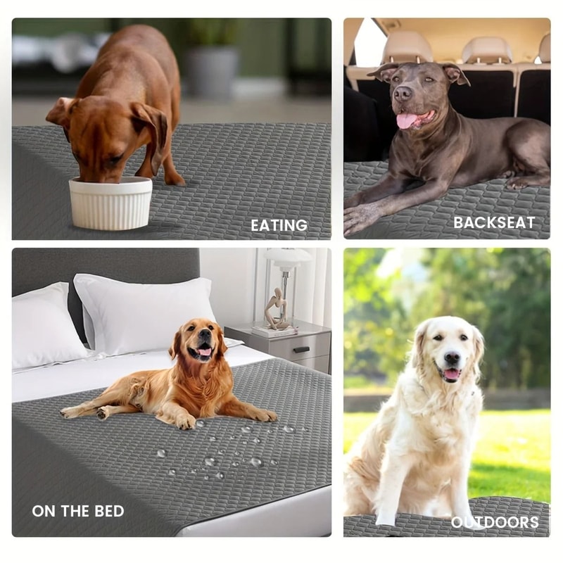 AeroShield Ultimate LeakProof Furniture Protector 4
