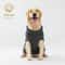 Winter Knitted Pet Sweater 2