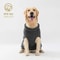 Winter Knitted Pet Sweater 2