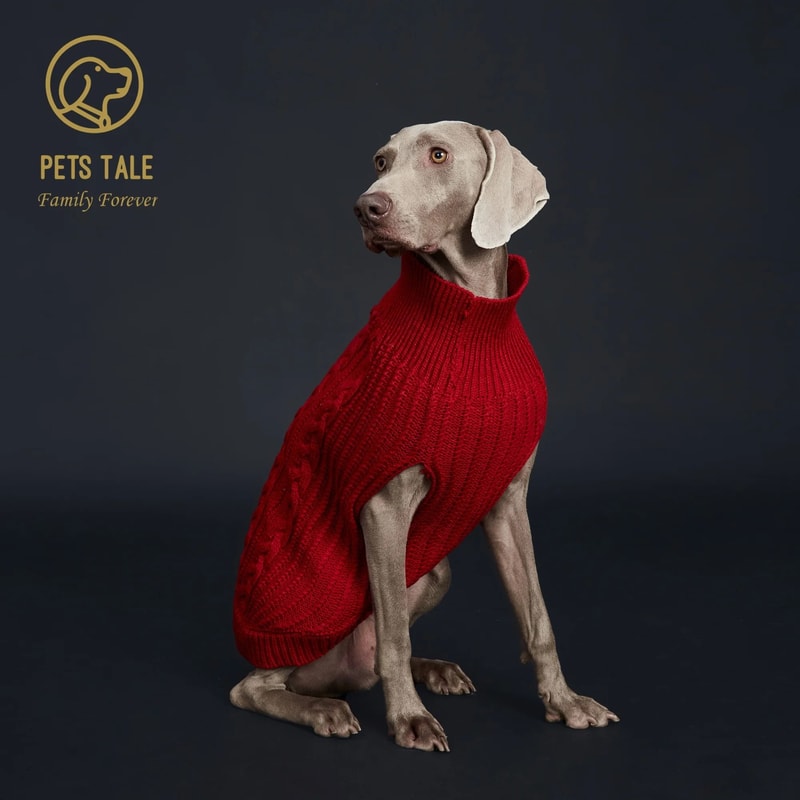 Winter Knitted Pet Sweater 5
