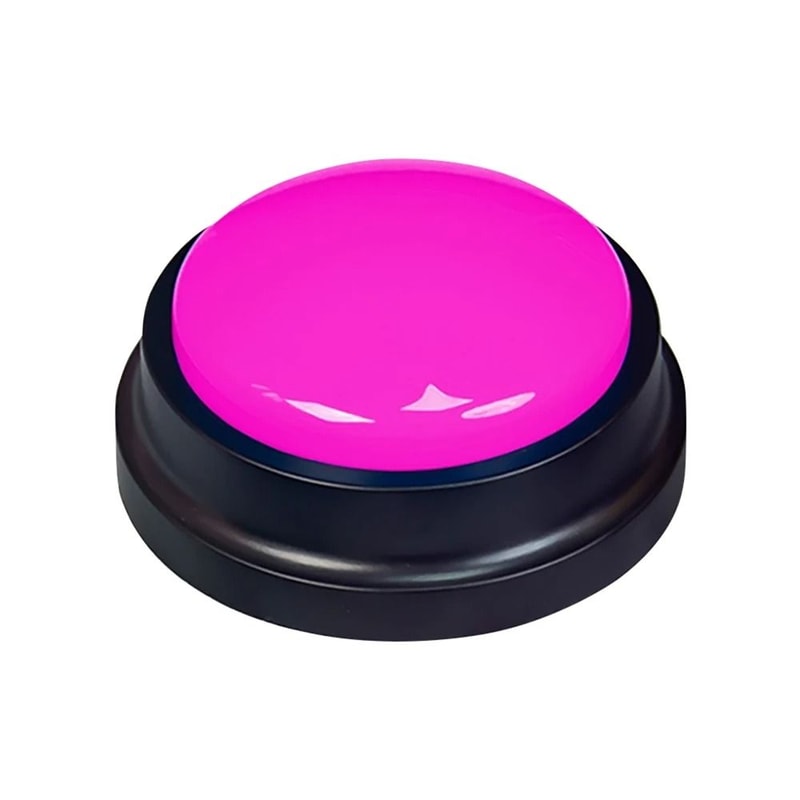 Recordable Pet Training Button 8