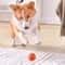 Interactive Smart Moving Pet Ball 4
