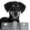 Remote Pet Training Collar 3