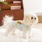 Soft Breathable Pet Vest 3