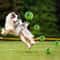 Interactive Wobble Wag Giggle Ball Pet Toy 4
